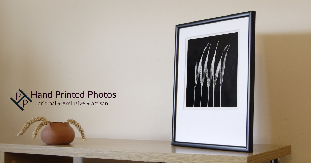 silver gelatin print and prints difference